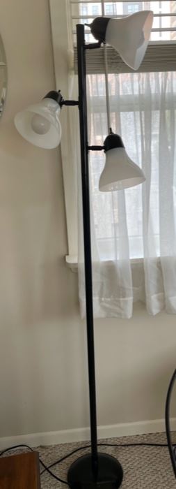 $10.00.....................Floor Lamp (B)