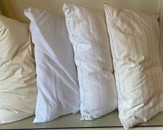 $12.00...................4 Gently Used Pillows (B175)