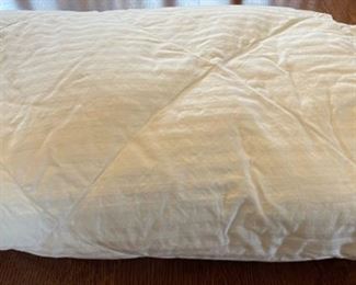 $20.00.....................Twin Down Blanket (B407)