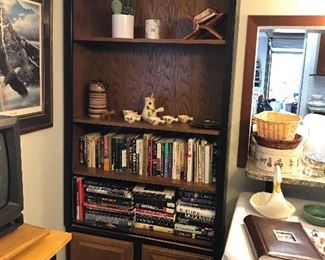 Bookcase with Cabinet Storage