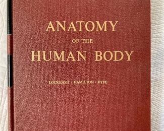 $15 - “Anatomy of the Human Body” Book 40