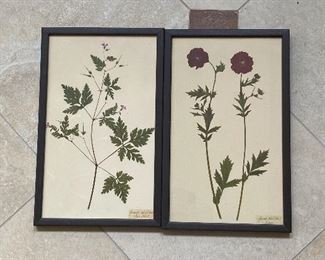 Pressed flower art 