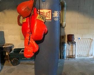 Heavy Bag and Gloves