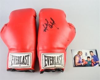 302	Michael Carbjal Signature Boxing Glove	A pair of Everlast Boxing Gloves with a Michael Carbajal signature, with a picture of Charles Barkley, Michael Carbajal, and Dan Majerle. Gloves are in good condition with some wear and black staining. 5" L x 10" H.
