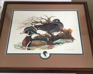Colored Wood Duck Print by John Constable