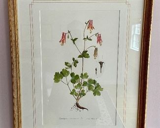 Botanical by Janet Wehr