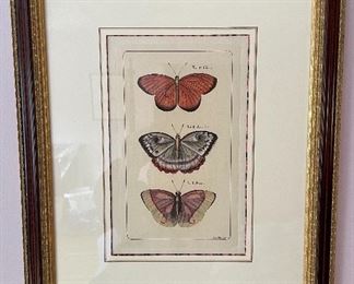 2 Butterfly by Edir Bella