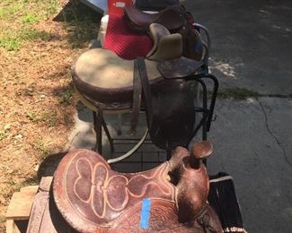 Side saddles sold