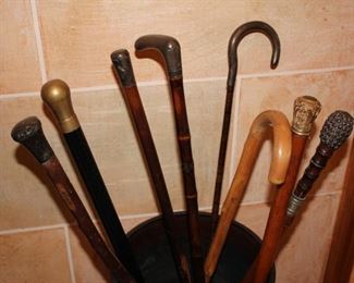 Walking stick cane collection