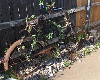 Antique bicycle (being ridden by a fake plant)