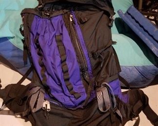 The North Face Hiking Back Pack (very nice)