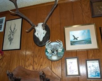 Collectibles and Decor