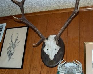 Hunting Wall Accents