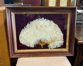 (c.1900) Ostrich Feather Opera Fan mounted on a resin handle and framed in a vintage wooden shadow box with glass (framed measurements 15.5" x 20.5")