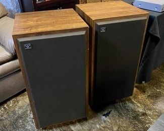 Large Floor Speakers