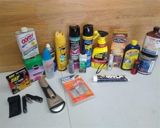 Bug killer sprays, cleaning sprays, & flash lights