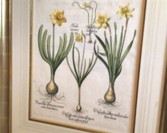 Narcissus painting signed Narc. Bicolor $6200