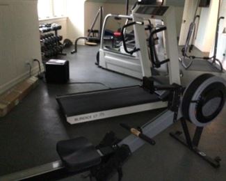 Entire gym for sale. Please call to try professional exercise equipment 