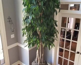 Approximately 10' Indoor artificial plant  