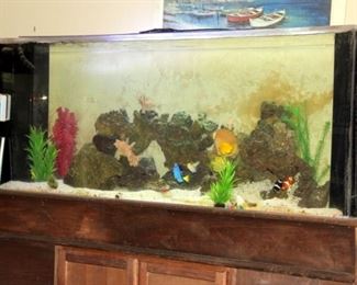 285 Gallon Salt Water Aquarium with Accessories and Fish!