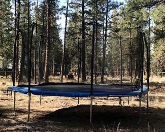 Trampoline w/safety net