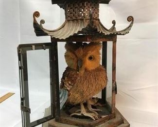 Asian Lantern w Owl