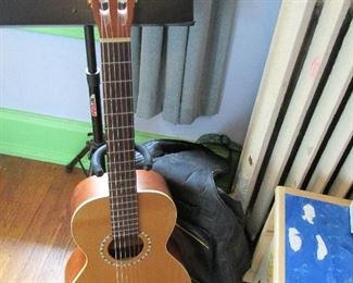 Art & Lutherie cedar guitar