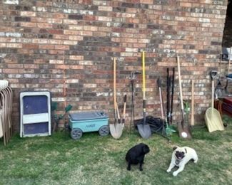Yard tools. Buster & Lulu wanted to be in the picture🐶