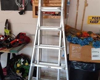 Werner 25 foot adjustable ladder