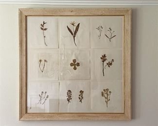 Antique Framed Pressed Botanicals Specimen Wall Hanging (approx. 29.5" L x 29.5" H)