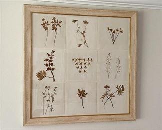 Another Antique Framed Pressed Botanicals Specimen Wall Hanging (approx. 29.5" L x 29.5" H)