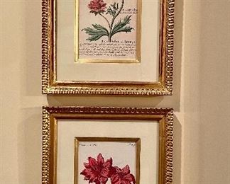 Item 68:  (2) Botanical Prints - 10" x 13.5":  $145/pr