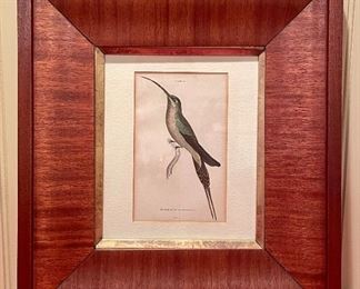 Item 100:  "Trochilu" Hand Colored Lithograph in Antique Ogee Frame - 13" x 14.5":  $75