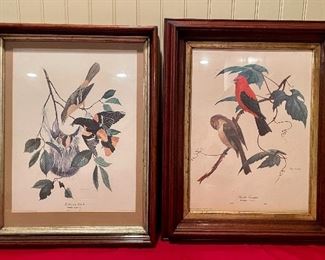 Item 108:  Antique "Scarlet Tanager" and "Baltimore Oriole" Etchings:  $125 Pair