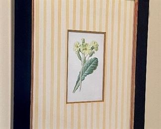 Item 289:  Botanical Print - 15.25" x 19.25":  $48