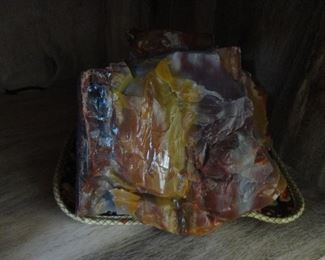 Petrified Wood