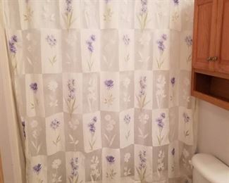 Shower curtain, liner and hooks