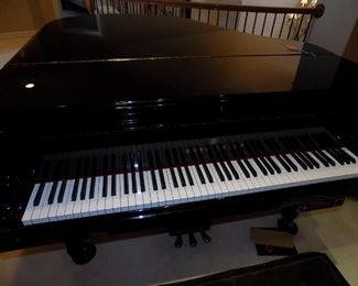 Young Chang G-157 $4500