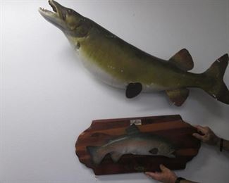 Taxidermy Fish Plaques "Muskie" 42" & "Trout" 19"