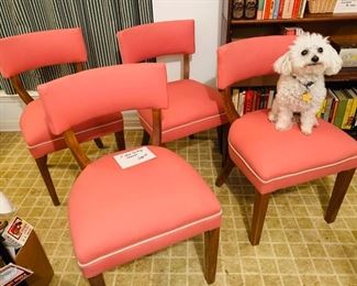Great Mid Century Chairs.... Dog NOT FOR SALE!!