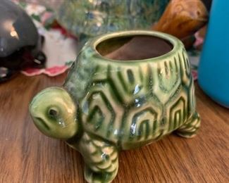 He looks sad... come buy this little guy and make him happy again!