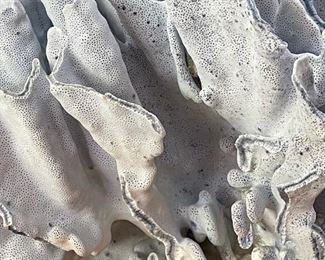 Sea Blue Coral Display on Wood Base