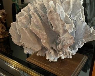 Sea Blue Coral Display on Wood Base