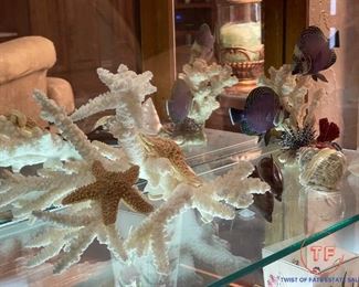 Coral Art Displays