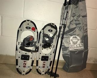 Snowshoes, poles, carrying bag