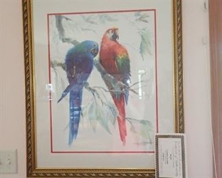 FRAMED PARROTS W/PAPERS