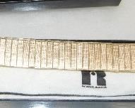 watch band with gold emblem