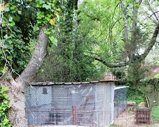 Chicken Coop