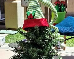 Christmas decor galore!