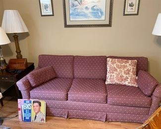 sleeper sofa